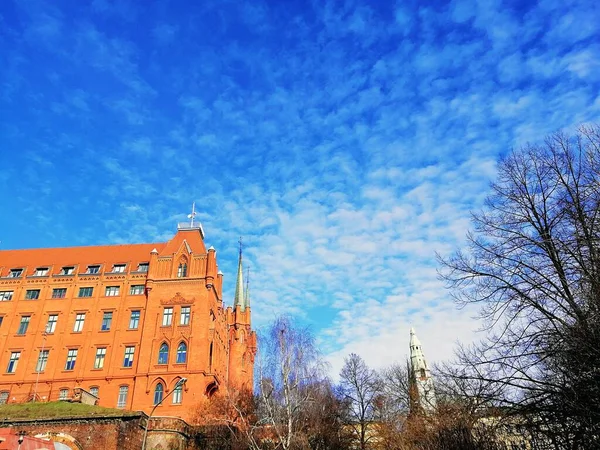 Low Angle Shot Cathedral Surrounded Leafless Trees Cloudy Sky Szczecin — Stock Photo, Image