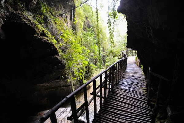 Όμορφη λήψη ενός μονοπατιού σπηλαίων στο σπήλαιο των καναρινιών νησιών στην Ισπανία — Φωτογραφία Αρχείου