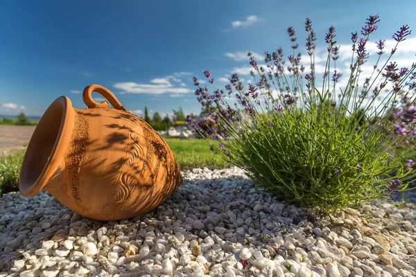 Clay Pitcher Flowers Ground Garden Blurry Background Sunlight — Stock Photo, Image