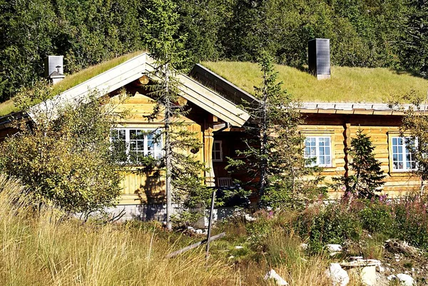Ein Typisch Norwegisches Landhaus Mit Atemberaubender Landschaft Und Schönem Grün — Stockfoto