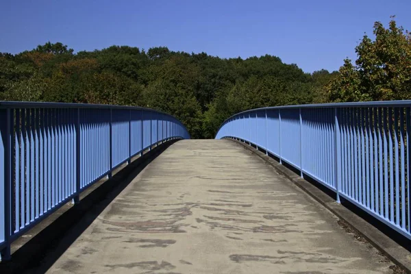 Tiro de ângulo largo de uma ponte que leva à floresta — Fotografia de Stock