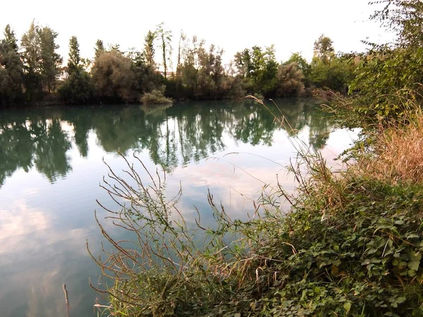 Bellissimo riflesso degli alberi nel fiume — Foto Stock