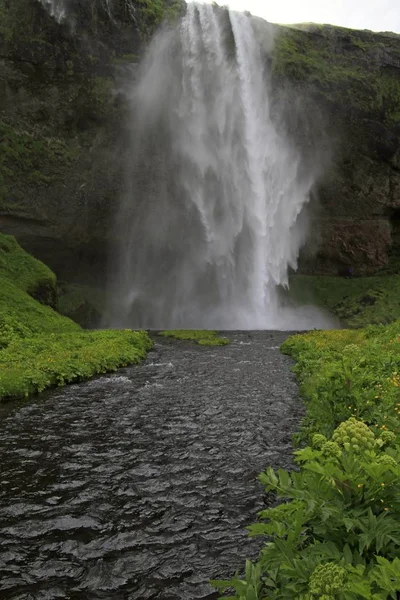 Scatto verticale di una cascata in Islanda circondata da erba e vegetazione — Foto Stock