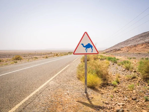 A camel crossing road sign on the road during the daytime