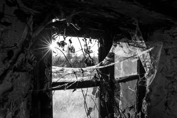 Сірий знімок всередині на старій покинутій будівлі з павутиною біля вікна — стокове фото
