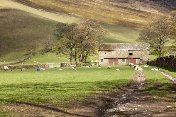 Panorama de uma fazenda de ovelhas com um antigo celeiro no sopé de uma colina em Edale, Peak District, Inglaterra — Fotografia de Stock