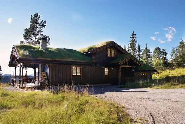 Typowy norweski wiejski domek z zapierającym dech w piersiach krajobrazem i piękną zielenią w Norwegii — Zdjęcie stockowe