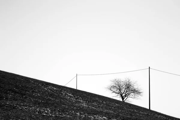 Pólos de tiro Greyscale com cabos em uma colina sob um céu claro — Fotografia de Stock