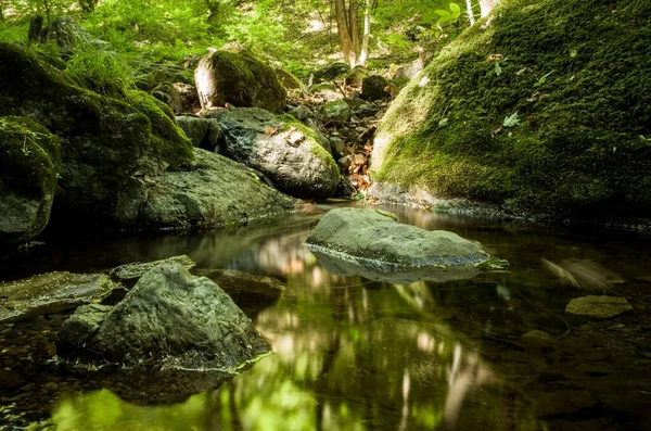 Vacker bild av en liten flod i skogen med stenar täckta av mossa — Stockfoto