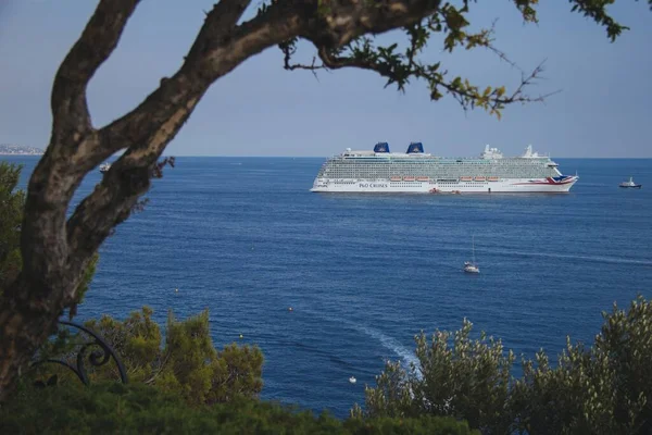 Ampio angolo di una nave che naviga attraverso l'oceano sotto un albero — Foto Stock