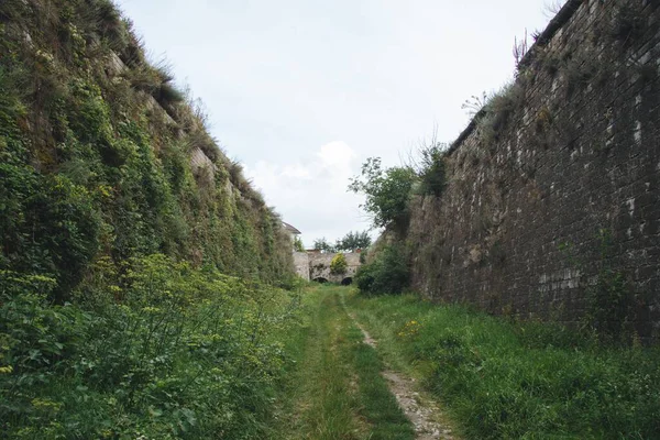 Широкоугольный снимок туннеля, окруженного травой и деревьями — стоковое фото