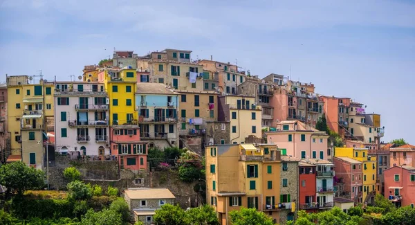 Hermosa vista del famoso pueblo de corniglia en el parque nacional cinque terre en Italia —  Fotos de Stock