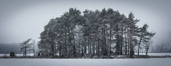 Frío Bosque Nevado Durante Invierno Suecia — Foto de Stock