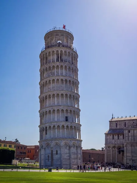 Pisa Itálie Červenec 2019 Šikmá Věž Pise Věž Pisa Heřmánkový — Stock fotografie