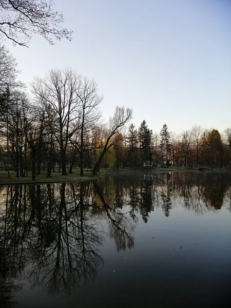 Una Hermosa Toma Lago Árboles Desnudos Junto Jelenia Gra Polonia —  Fotos de Stock