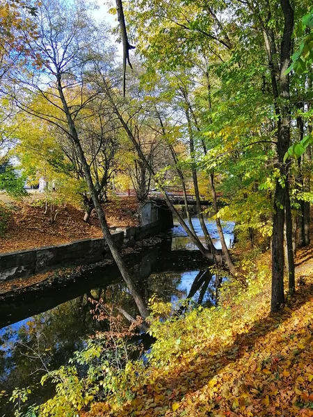 Belo tiro de um rio cercado por árvores amarelas e verdes — Fotografia de Stock