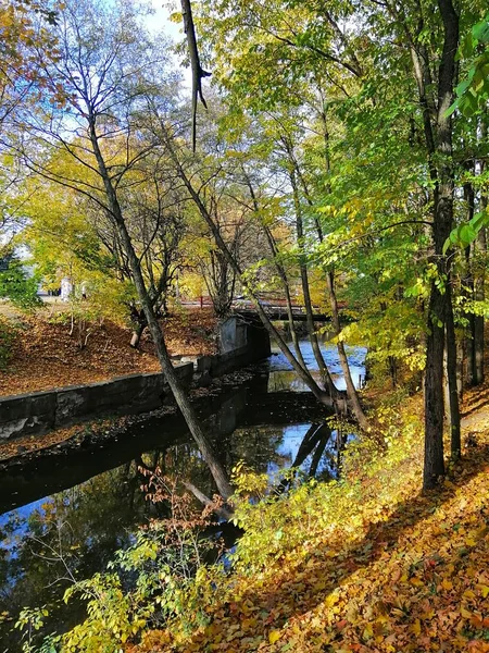 Beautiful shot of a river surrounded by yellow and green trees — Stock Photo, Image