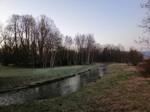 Schöne Aufnahme Eines Flusses Und Waldes Jelenia Gra Polen — Stockfoto