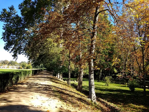スペインのAranjuezにあるカラフルな木々や草でいっぱいの公園の美しいショット — ストック写真