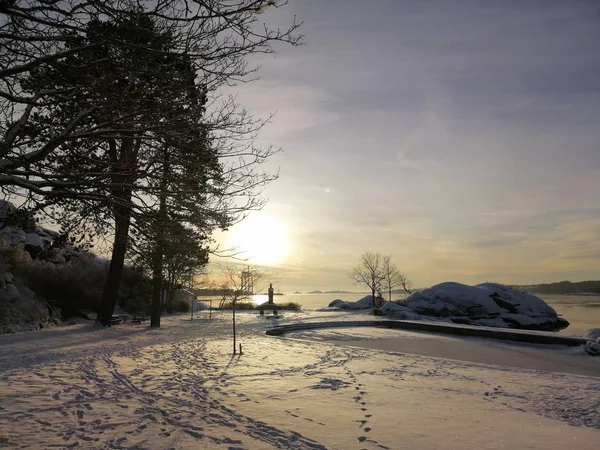 Campo coberto de árvores e neve cercado por água sob a luz do sol em Larvik, na Noruega — Fotografia de Stock