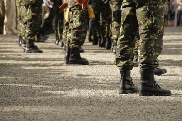 Крупный план солдат в форме, стоящих в очередях — стоковое фото