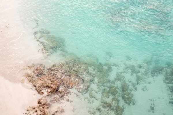 Een Helderblauwe Zee Met Koralen Een Zandstrand — Stockfoto