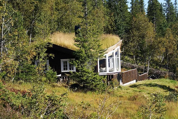 Tipikus norvég vidéki ház lélegzetelállító tájjal és gyönyörű növényzettel Norvégiában — Stock Fotó
