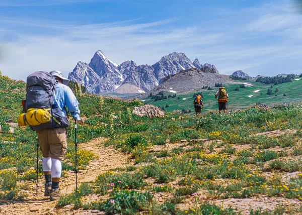 Toeristen met grote rugzakken wandelen in de bergen in de zomer — Stockfoto