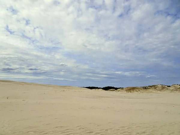 Ένα Όμορφο Τοπίο Μιας Αμμώδους Παραλίας Κάτω Από Ένα Συννεφιασμένο — Φωτογραφία Αρχείου