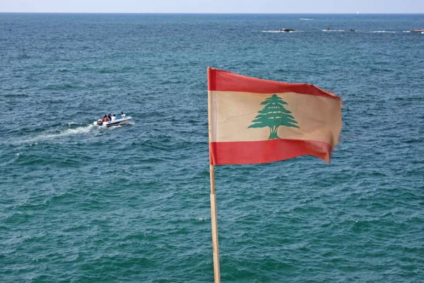 Tiro de ângulo largo de uma bandeira com uma árvore atrás de um oceano — Fotografia de Stock