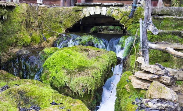 Puente sobre una cascada rodeada de rocas cubiertas de mezquitas en el Parque Nacional Krka en Croacia. — Foto de Stock