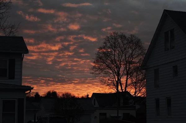 Silhouettes of trees and buildings under the cloudy sunset sky. —  Fotos de Stock