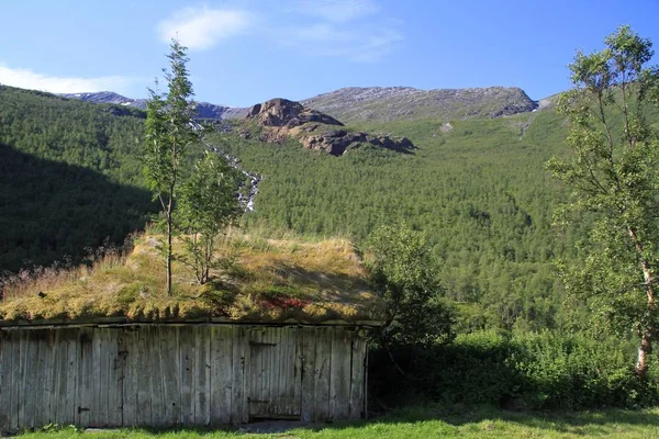 Schöne Aufnahme eines Holzhauses unter einem bewaldeten Berg — Stockfoto