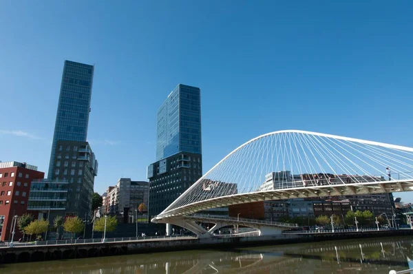 Una Bella Foto Ponte Bianco Sul Fiume Vicino Museo Guggenheim — Foto Stock