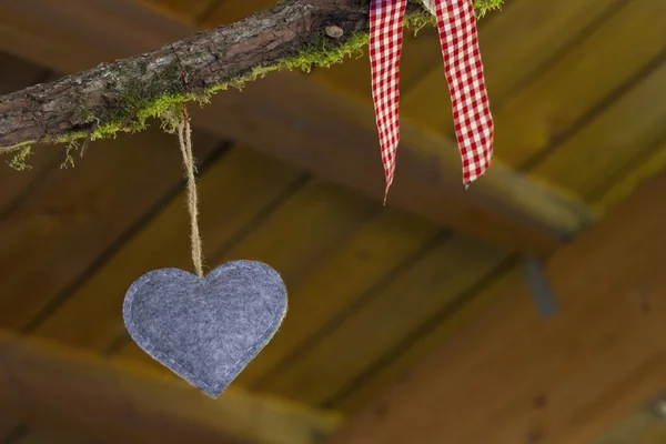 Disparo de ángulo bajo de la decoración del corazón colgando de una rama de árbol — Foto de Stock