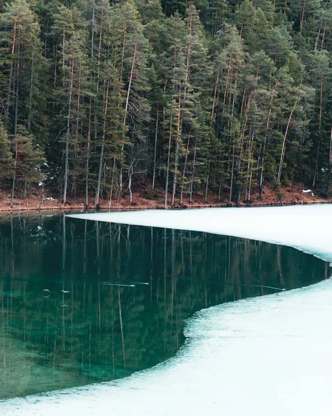 Lago congelado cercado por uma floresta com árvores refletindo sobre a água sob a luz do sol — Fotografia de Stock