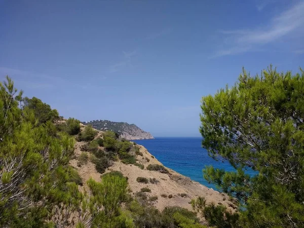 Uma Bela Foto Praia Coberta Plantas Árvores Ibiza Espanha — Fotografia de Stock