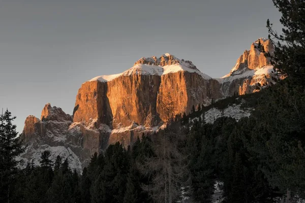 Prachtig landschap van hoge rotsachtige kliffen en een dennenbos bedekt met sneeuw in de Dolomieten — Stockfoto
