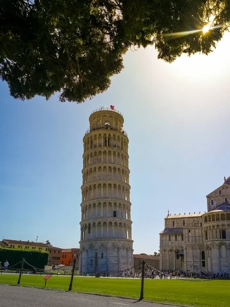 Pisa Italy Jul 2019 Leaning Tower Pisa 피사의 종탑이다 — 스톡 사진