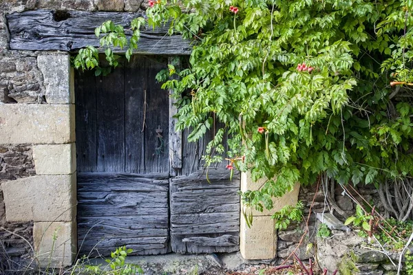 Puerta de un castillo en Tarn et Garonne, Francia —  Fotos de Stock