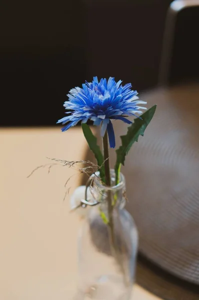 Tiro Vertical Uma Flor Azul Vaso Vidro Transparente Uma Mesa — Fotografia de Stock