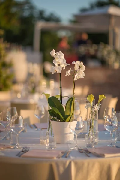 Stůl s brýlemi a dekorativními květinami pod slunečním světlem v restauraci — Stock fotografie