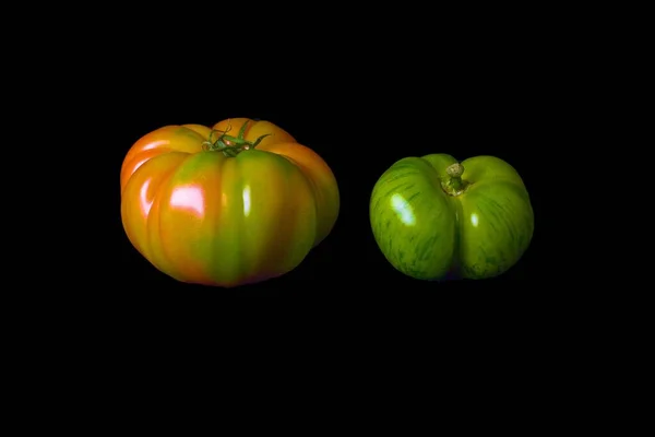 Een Rijpe Onrijpe Verse Glanzende Tomaat Tegen Een Zwarte Achtergrond — Stockfoto