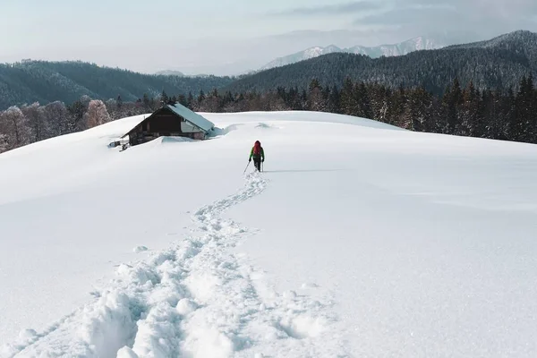 Detrás de un disparo de una persona caminando en la montaña nevada cerca de una antigua casa de campo rodeada de abetos —  Fotos de Stock