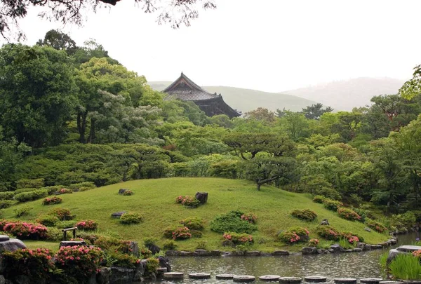 草や木や古い建物に囲まれた公園で川の魅惑的なショー — ストック写真