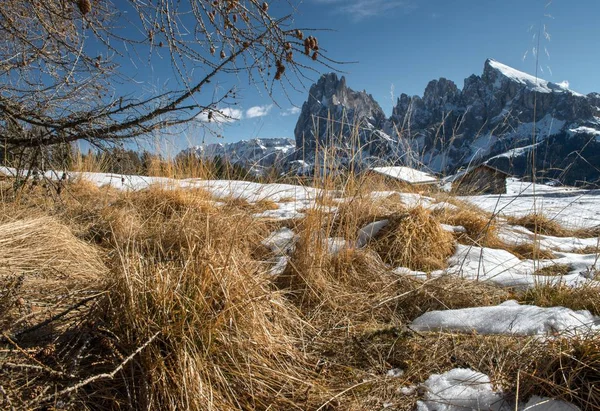 Piękne krajobrazy wysokich skalistych klifów i drzew pokrytych śniegiem w Dolomitach — Zdjęcie stockowe