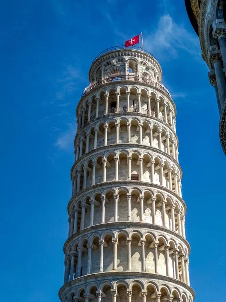 Pisa Itálie Červenec 2019 Šikmá Věž Pise Věž Pisa Heřmánkový — Stock fotografie