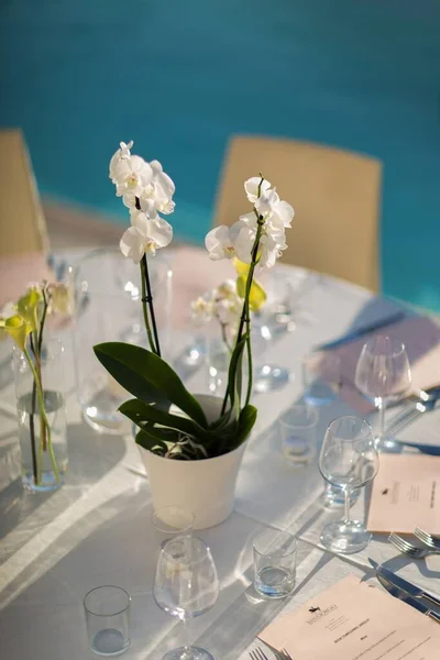 레스토랑의 조명 아래 탁자 위에 안경 과 장식용 식물을 올려 놓고 — 스톡 사진