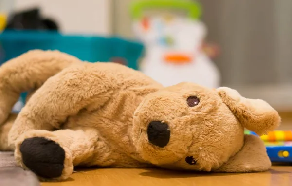 Brinquedo de um coelho marrom deitado em um quarto — Fotografia de Stock