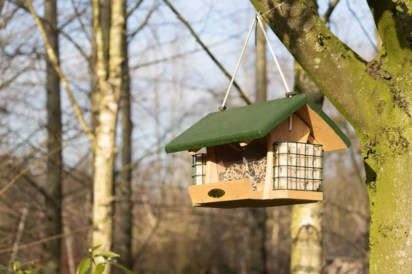 Detailní záběr závěsného podavače ptáků ve tvaru domu — Stock fotografie